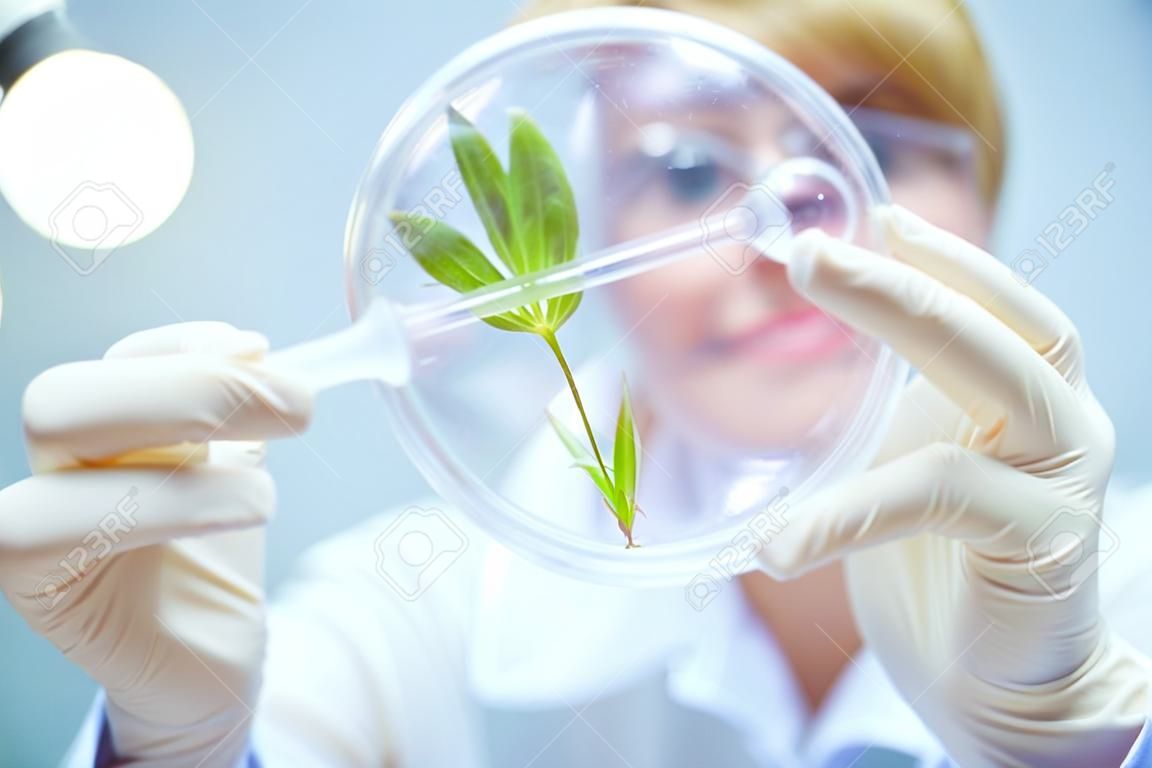 Woman scientist holding a test tube with plant