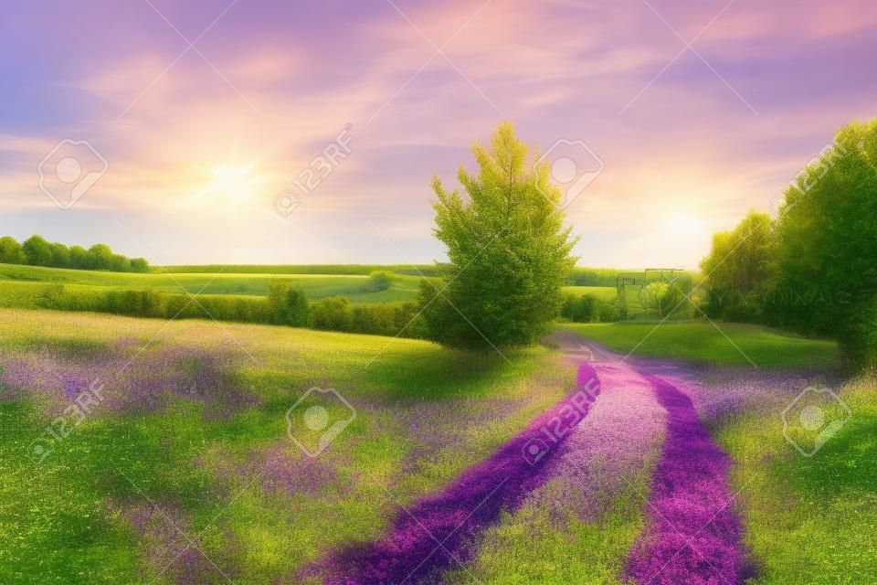 summer rural landscape with a blossoming meadow, road and a farm. spring wild flowers on a field.  purple flowers on a meadow and  sunset.  flowering field wildflowers and farmhouse on sunrise.