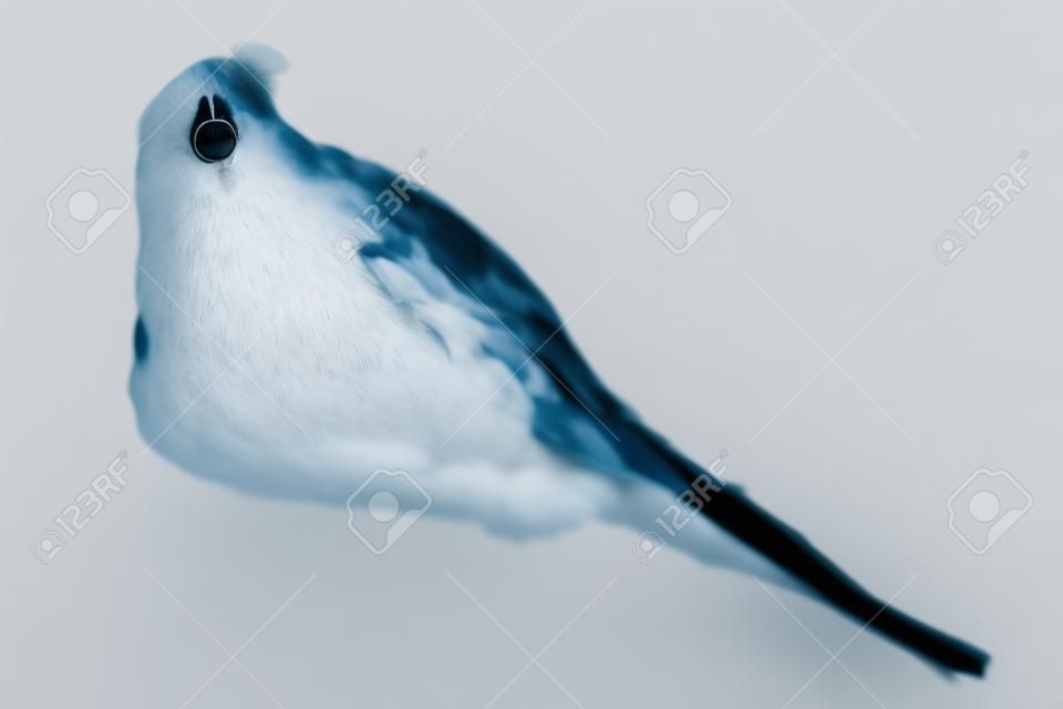 Isolated on a white background. Shallow DOF