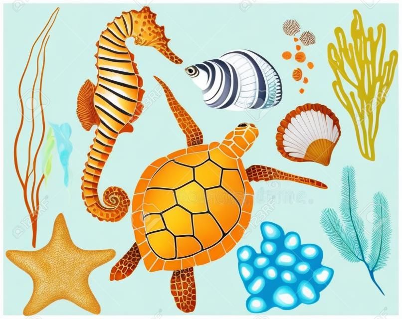 Wektor zestaw z podwodnymi zwierzętami i roślinami rafy koralowej. Ręcznie malowany złoty żółw, konik morski, laminaria, koral i muszla na białym tle. Linia sztuki ilustracji do projektowania, drukowania.