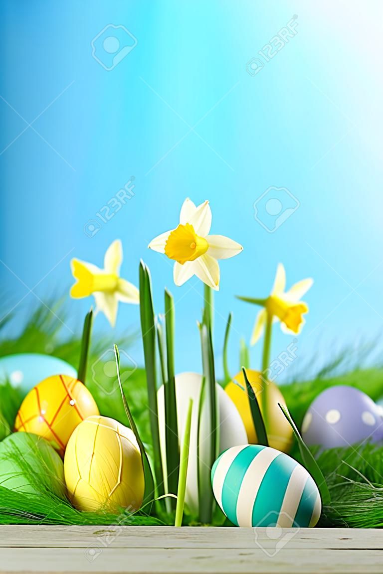 Easter card with eggs and daffodils over spring grass background
