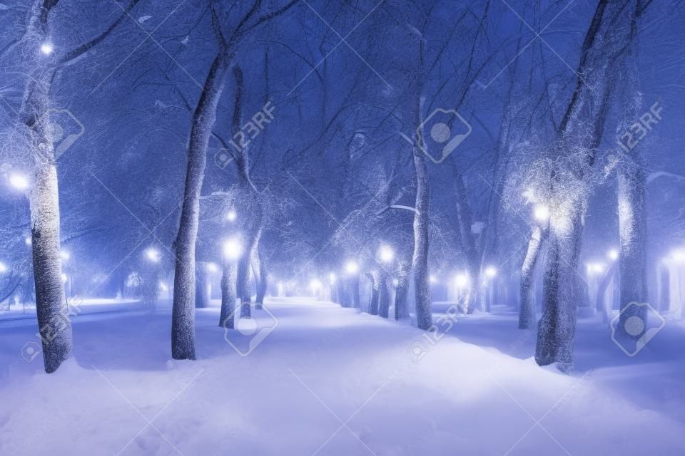 Winternachtpark mit Laternen, Pflaster und Bäumen, die bei starkem Schneefall mit Schnee bedeckt sind.