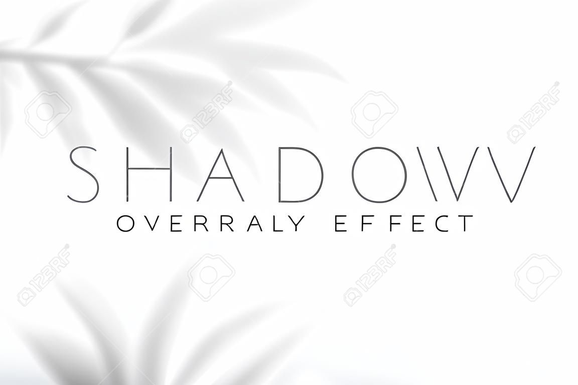 Shadow overlay effect. Transparent soft light and shadows from plant branches, leaves and foliage. Mockup of transparent shadow overlay effect and natural lighting. Vector