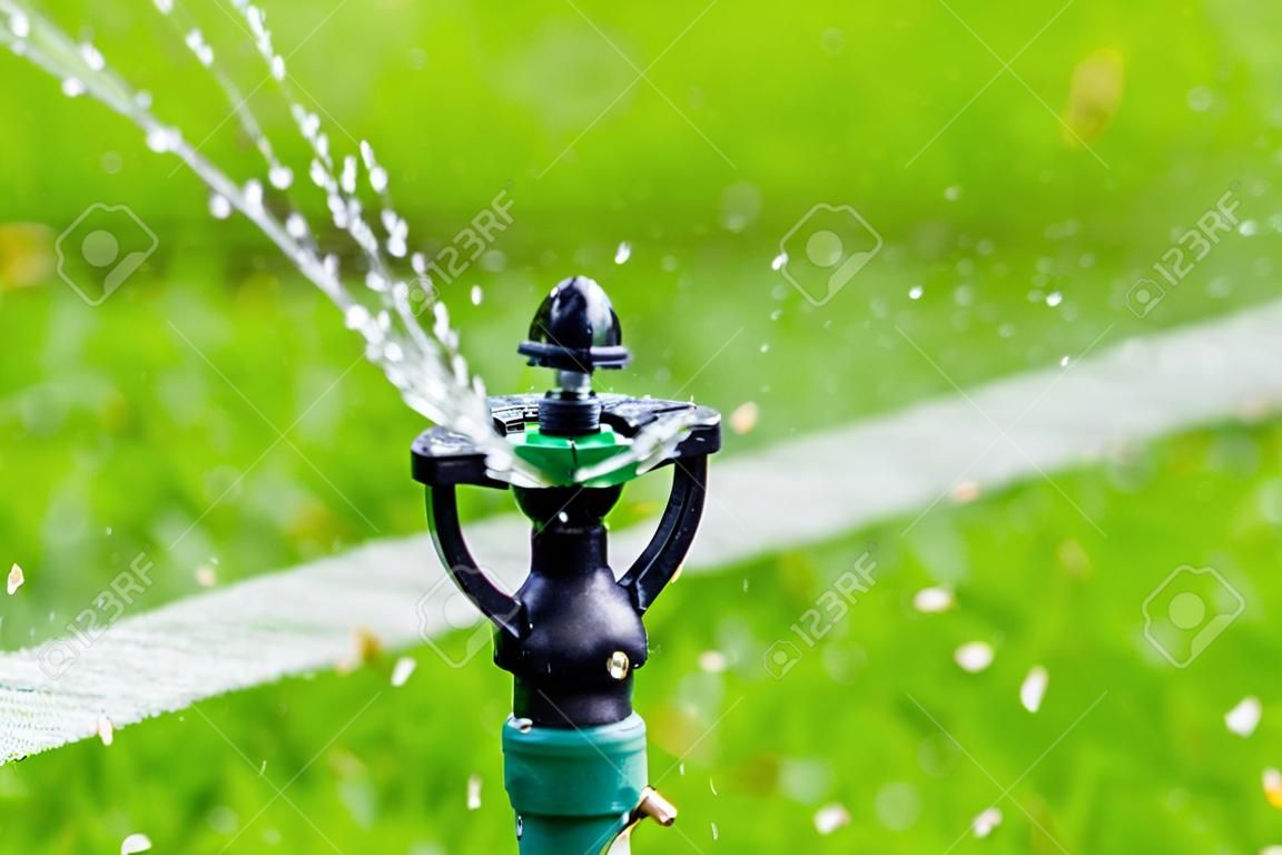 sprinkler head watering the football field