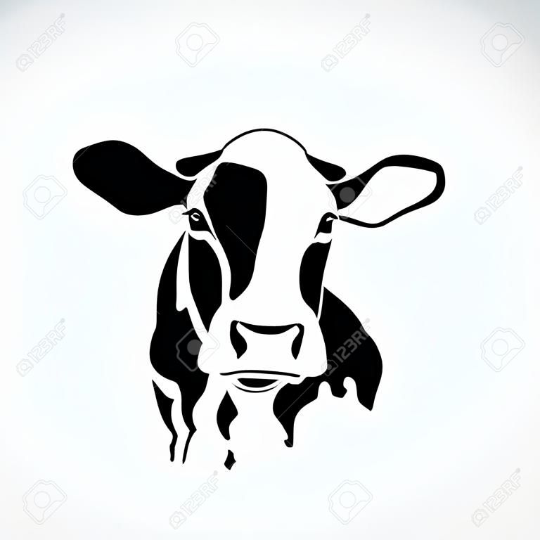 Bild einer Kuh auf weißem