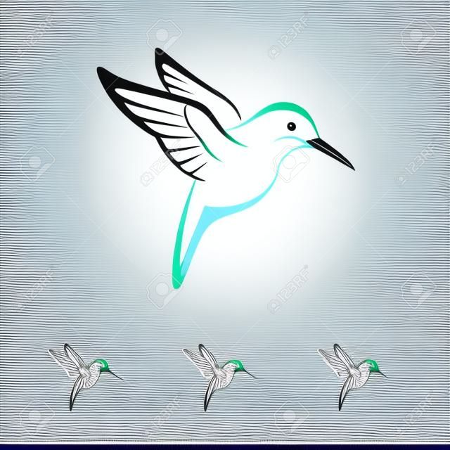 Vector de imagen de un colibrí diseño en fondo blanco
