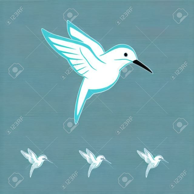 Vector de imagen de un colibrí diseño en fondo blanco