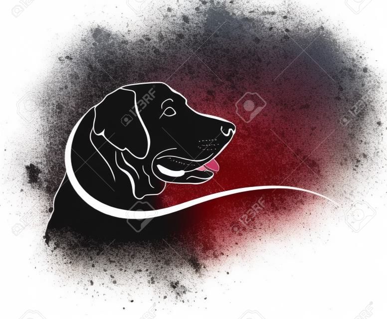 Vector image of an dog labrador head on white background