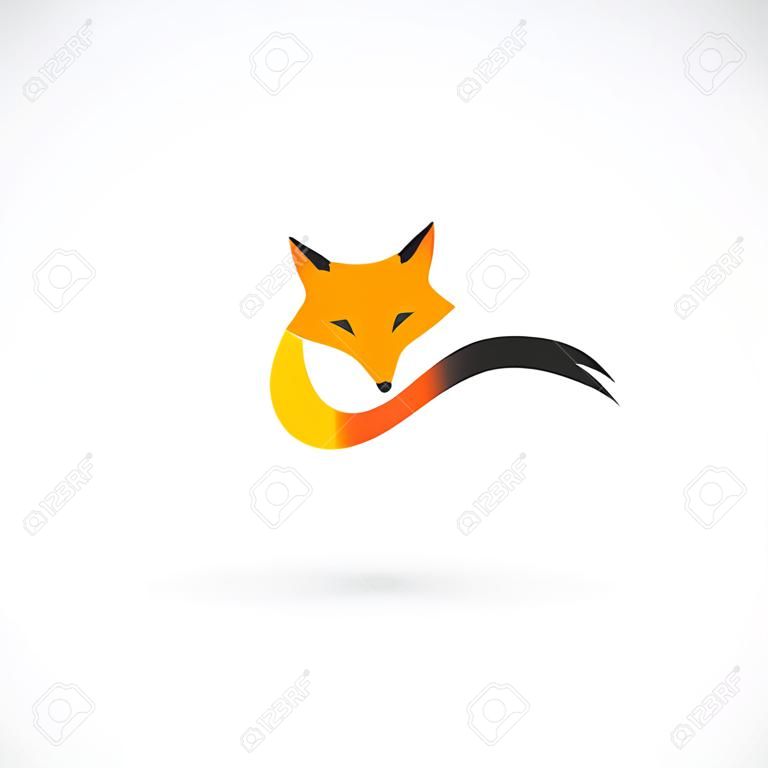 在白色背景的狐狸形象设计