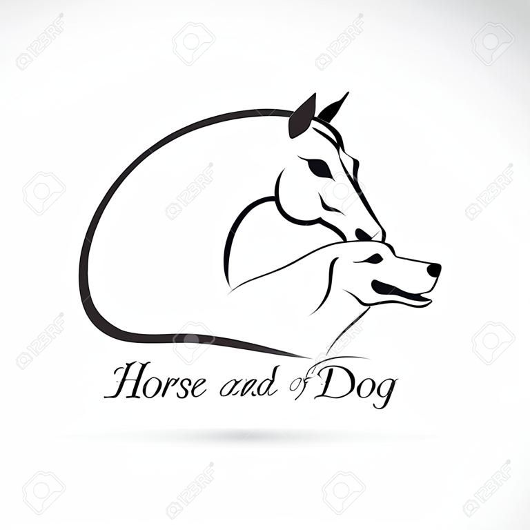 馬と白い背景の上の犬の画像