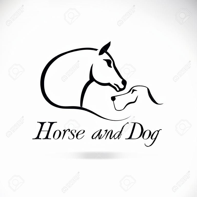 馬と白い背景の上の犬の画像