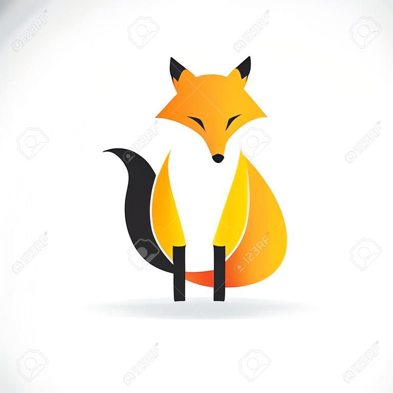狐狸设计，您的设计的传染媒介狐狸的传染媒介图象在白色背景的。动物徽标。