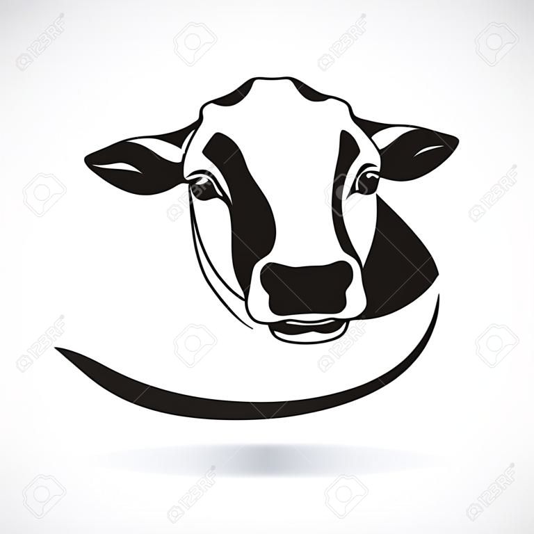 Vettore di un disegno testa di mucca su sfondo bianco. Animale da fattoria.