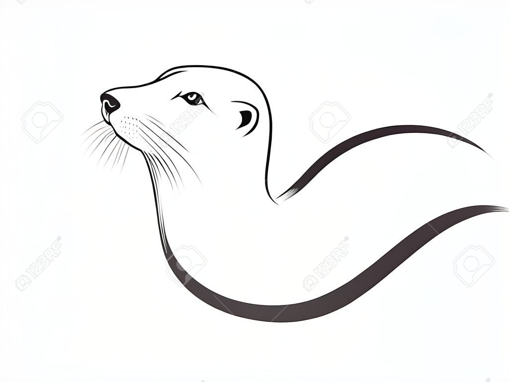 Vector of Asian Otter, Aonyx cinerea or Oriental Small-clawed Otter on whiet background. Animals.  Easy editable layered vector illustration.