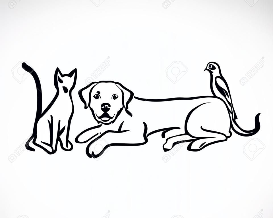 Vector group of pets