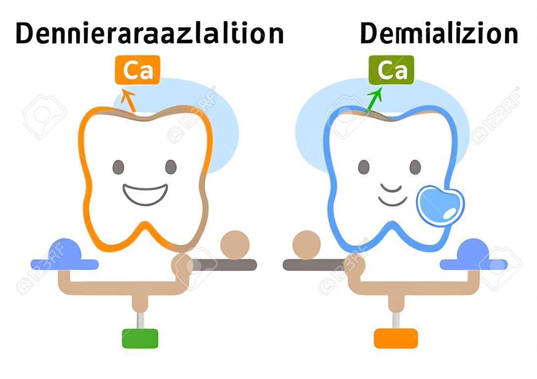 cute cartoon tooth. demineralization is caused by acids from bacteria. remineralization is the repair process. Healthy dental care.