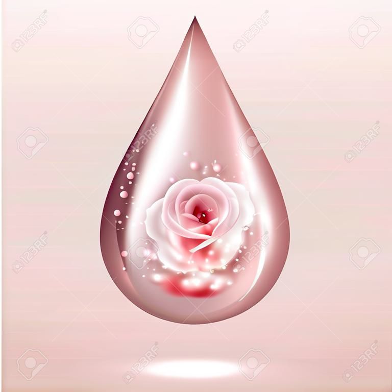 Pink rose oil drop with lights, glares and shadows. Shiny perfume water dew. Aromatherapy sign. Vector illustration.