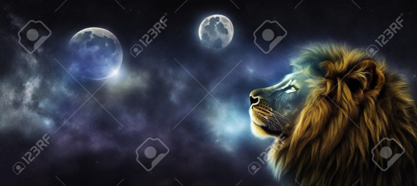 Lion d'Afrique et nuit de la lune dans la bannière de l'Afrique. Thème du paysage de la savane africaine, roi des animaux. Ciel nuageux étoilé dramatique spectaculaire. Lion fantastique rêveur fier dans la savane avec impatience.