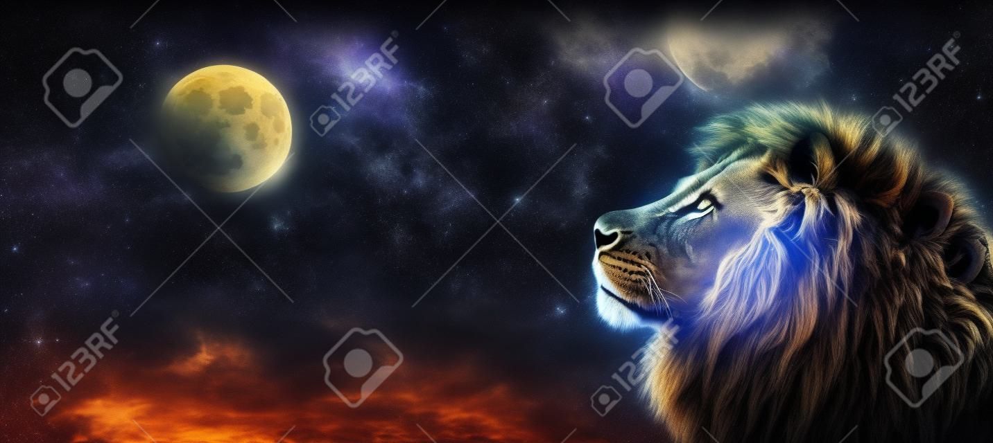 Afrikanische Löwen- und Mondnacht in Afrika-Banner. Afrikanisches Savannenlandschaftsthema, König der Tiere. Spektakulärer dramatischer Sternenhimmel. Stolzer träumender Fantasielöwe in der Savanne, der sich freut.