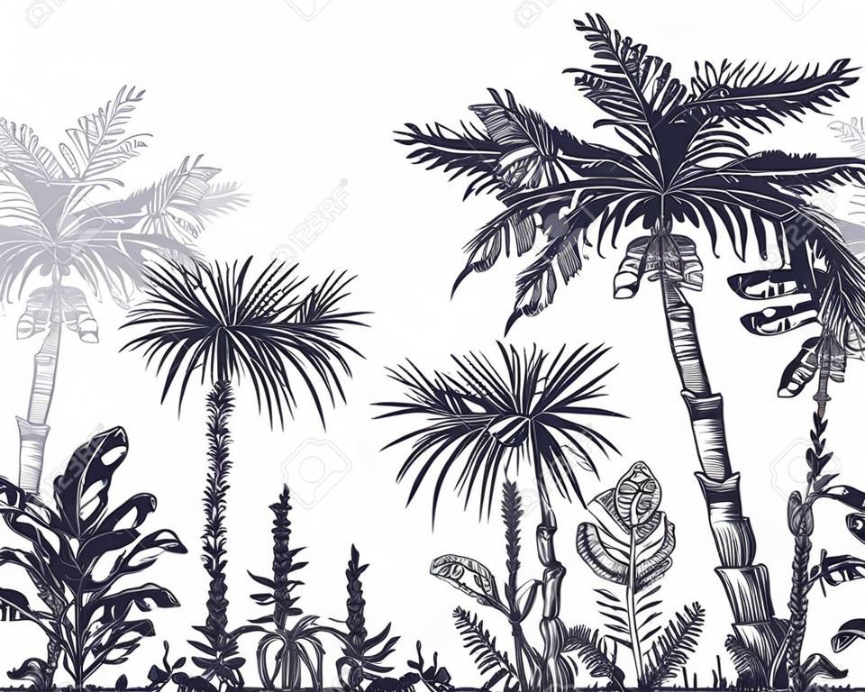 Seamless border with graphic tropical trees such as palm, banana, monstera for interior design. Vector