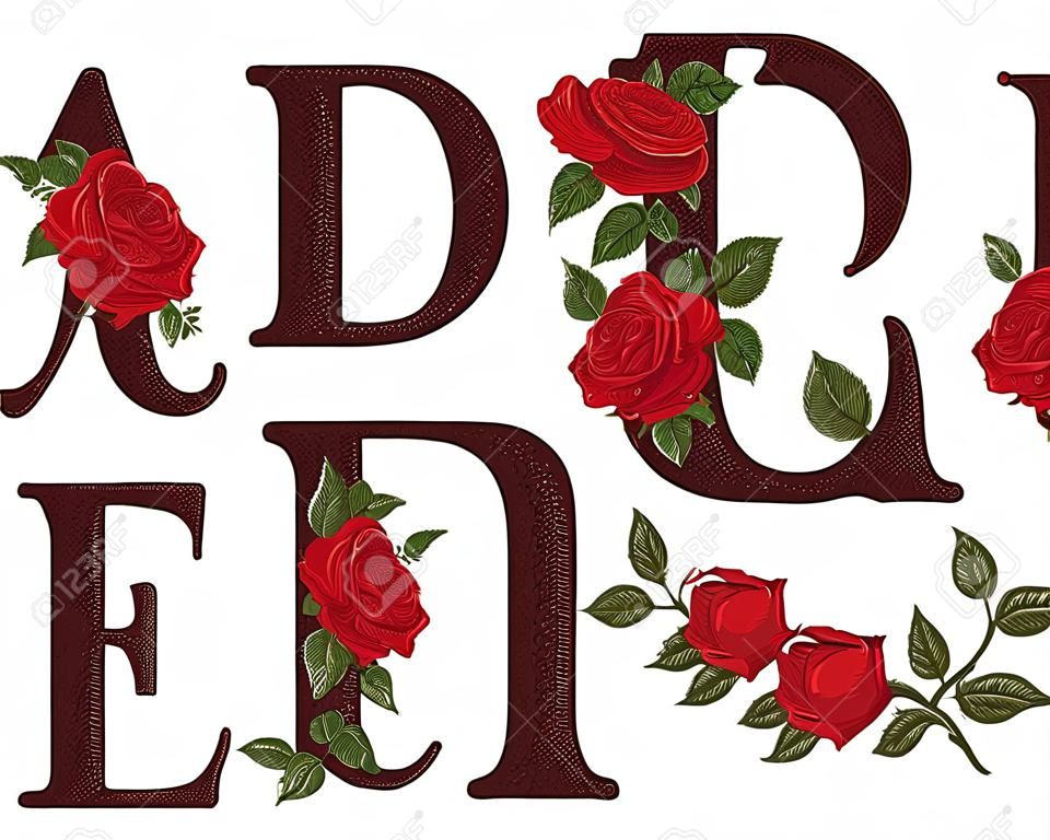 Rode rozen letters. Hand tekenen, Vector alfabet