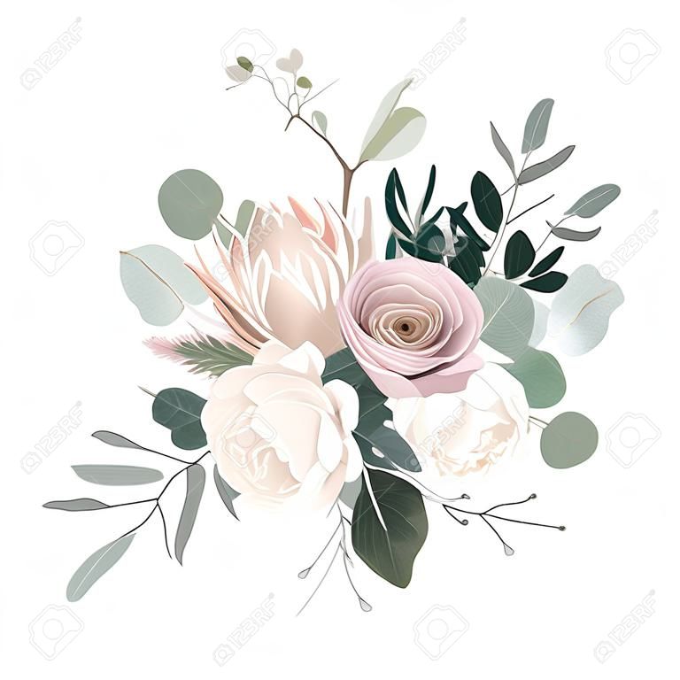 シルバーセージと赤面ピンクの花ベクトルデザインブーケ。ベージュプロテア、クリーミーでほこりっぽいバラ、白い象牙牡丹、ユーカリ、緑。結婚式の花輪。パステル水彩画。孤立して編集可能