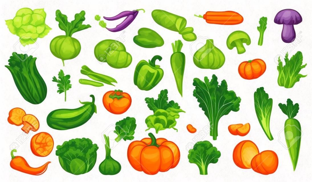 Vegetables sketch. Hand drawn various farming harvest food vintage collection, organic carrots broccoli eggplant, cabbage and mushroom, pumpkin garlic and greens fresh eco products vector isolated set
