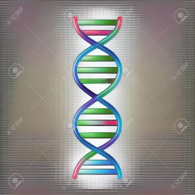 Progettazione dell'illustrazione di vettore dell'icona isolata molecola del DNA