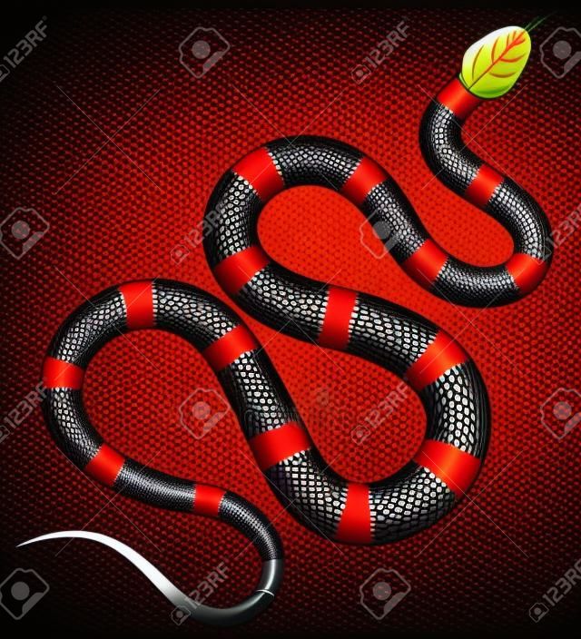 Coral snake vector illustration. Isolated tropical serpent on white background.