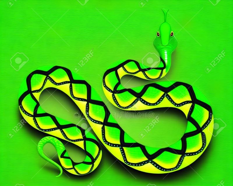 Illustrazione realistica di vettore del pitone verde. Serpente tropicale isolato su sfondo bianco