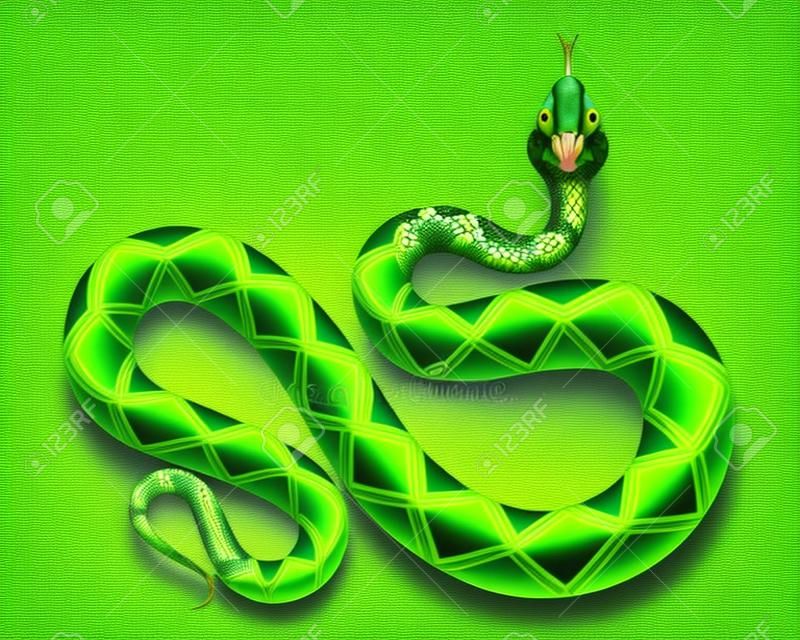 Realistic green python vector illustration. Isolated tropical snake on white background