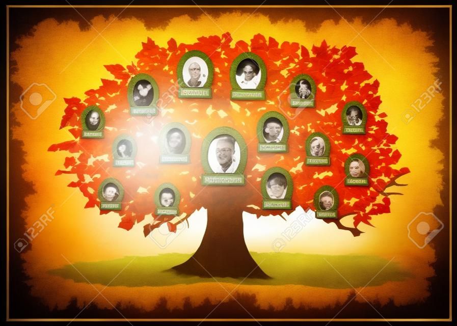 drzewo genealogiczne z ramkami i miejsce leafs dla tekstu