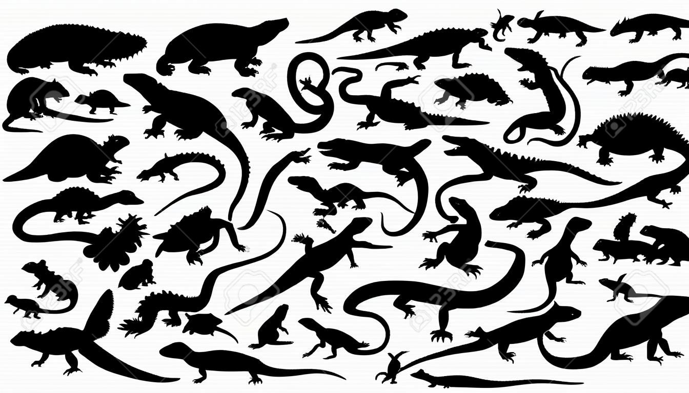 reptiles silhouettes on the white background