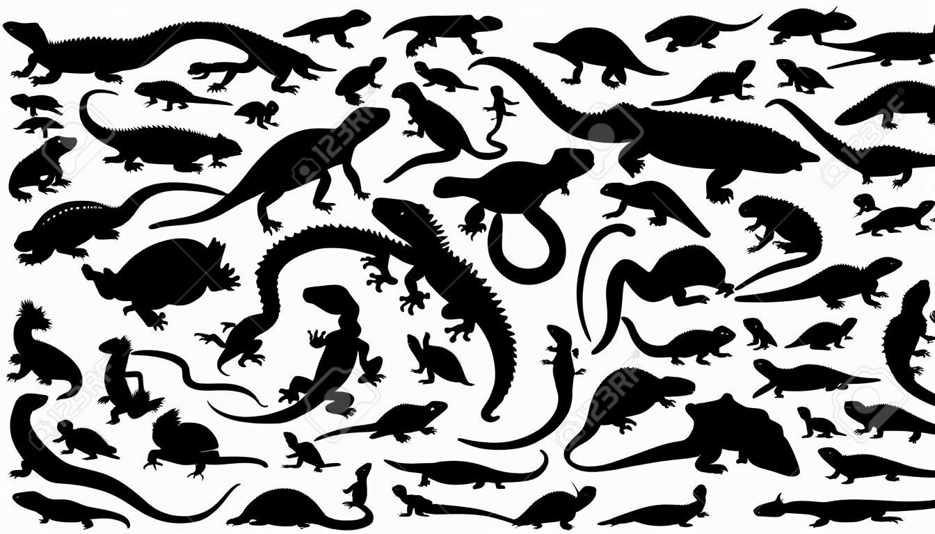 reptiles silhouettes on the white background