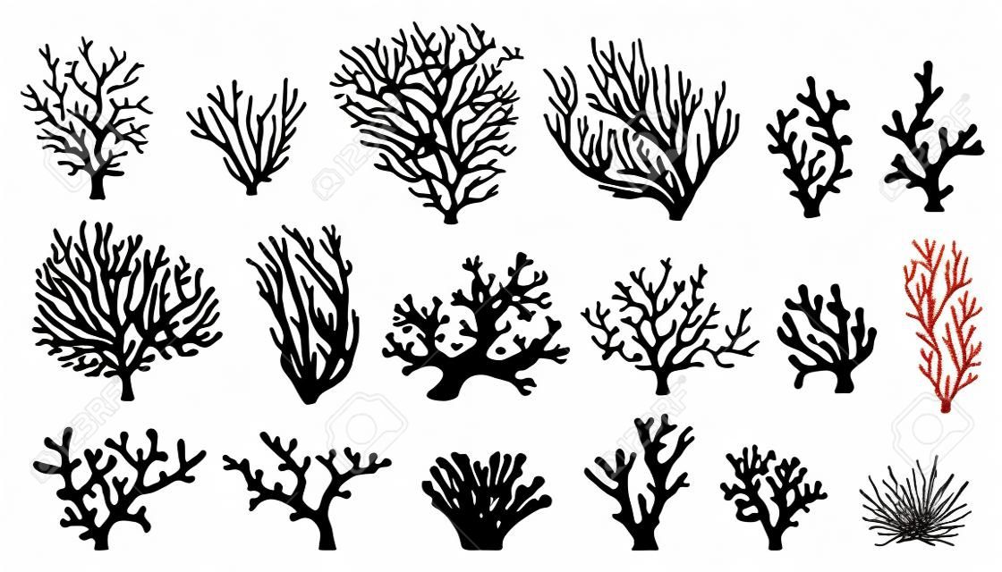 coral silhouettes on the white background