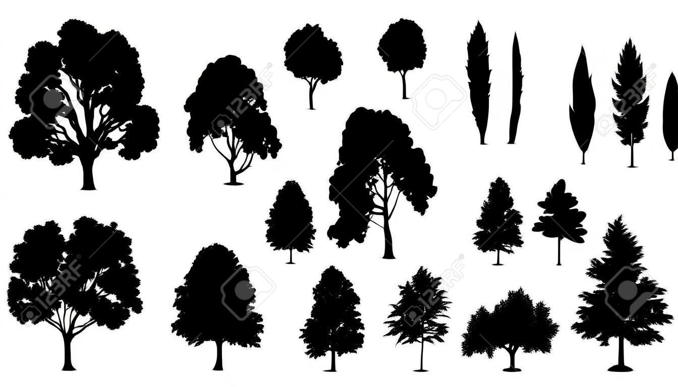 tree silhouettes on the white background