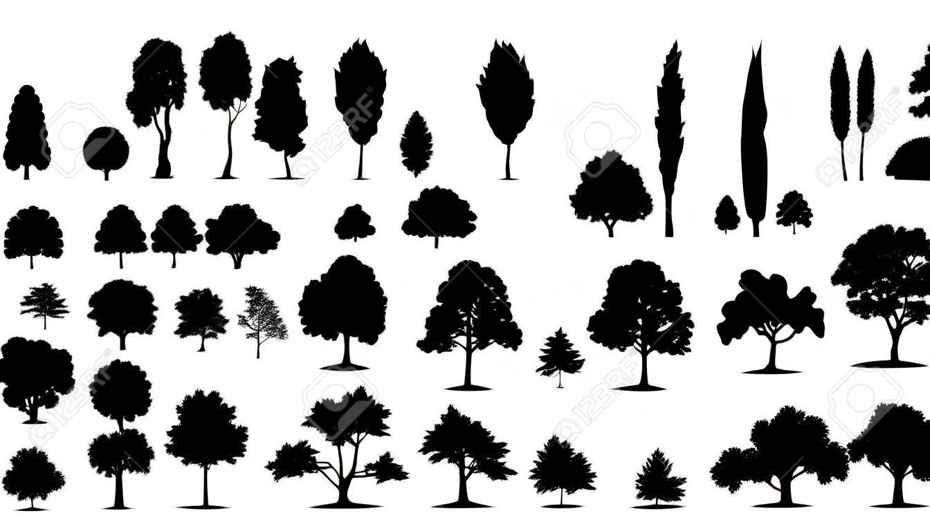 tree silhouettes on the white background