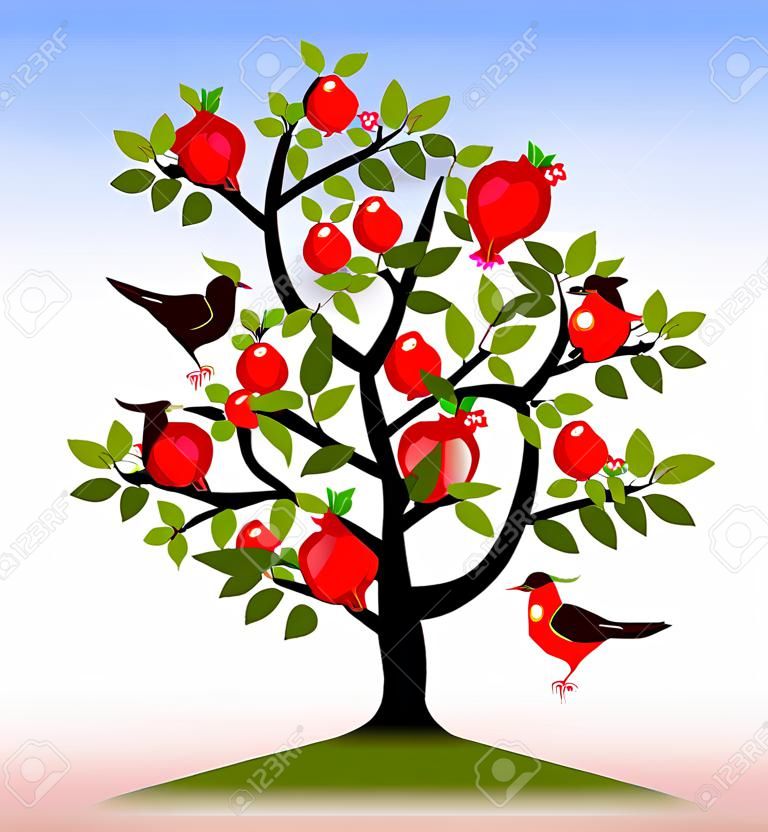 Obstbaum. Granatapfelbaum mit Früchten und Blumen. Vögel auf dem Baum. Vektor-Illustration.