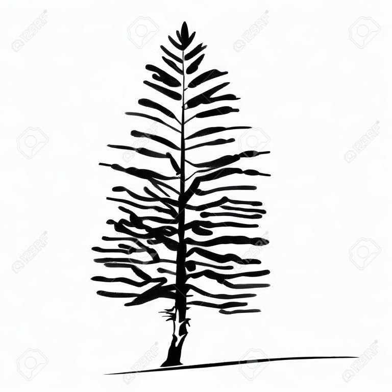 Stile di schizzo dell'albero di ginepro di pioppo disegnato a mano, pianta di pioppo tremulo cicuta isolata nera su priorità bassa bianca. Illustrazione vettoriale monocromatica.