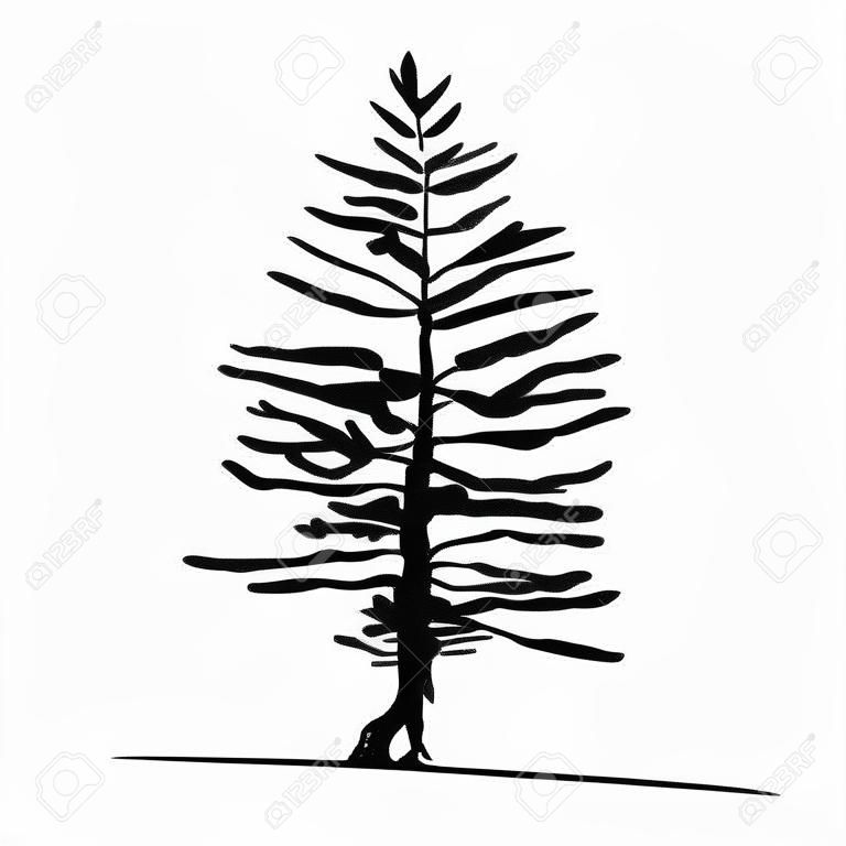 Stile di schizzo dell'albero di ginepro di pioppo disegnato a mano, pianta di pioppo tremulo cicuta isolata nera su priorità bassa bianca. Illustrazione vettoriale monocromatica.