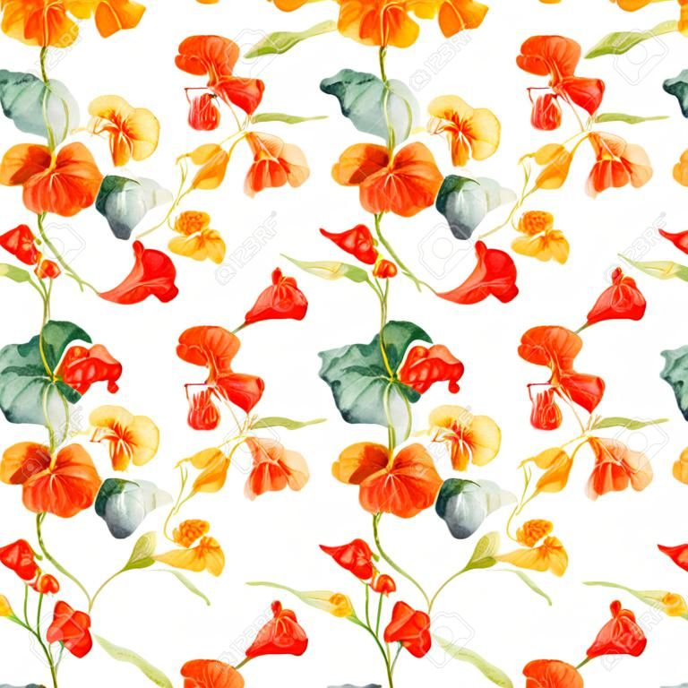 Beautiful vector pattern with nice watercolor nasturtium flowers