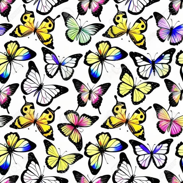 與漂亮的水彩蝴蝶美麗的矢量圖形