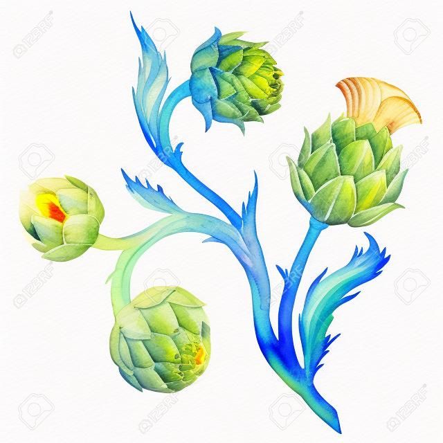 Beautiful image with nice watercolor artichoke flower