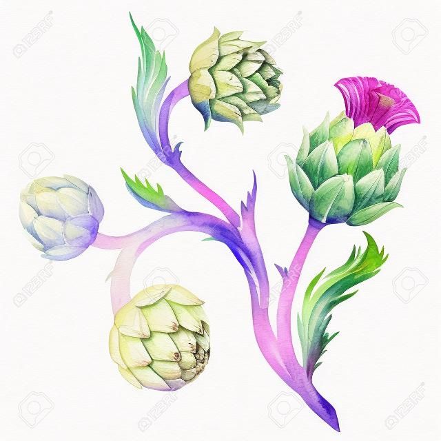 Beautiful image with nice watercolor artichoke flower