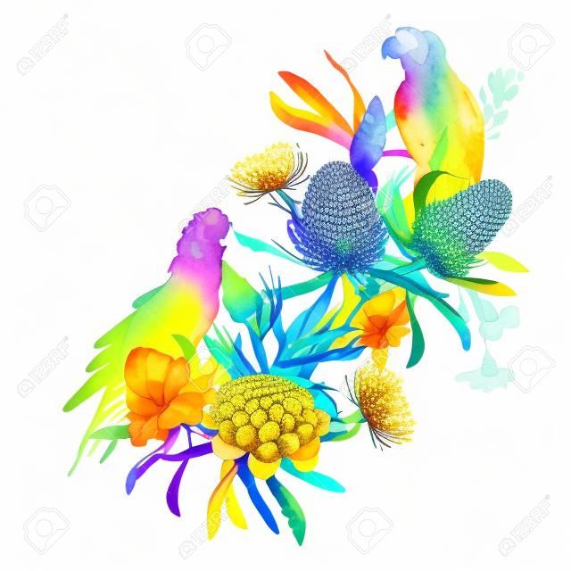 Watercolor banksia flower vector composition