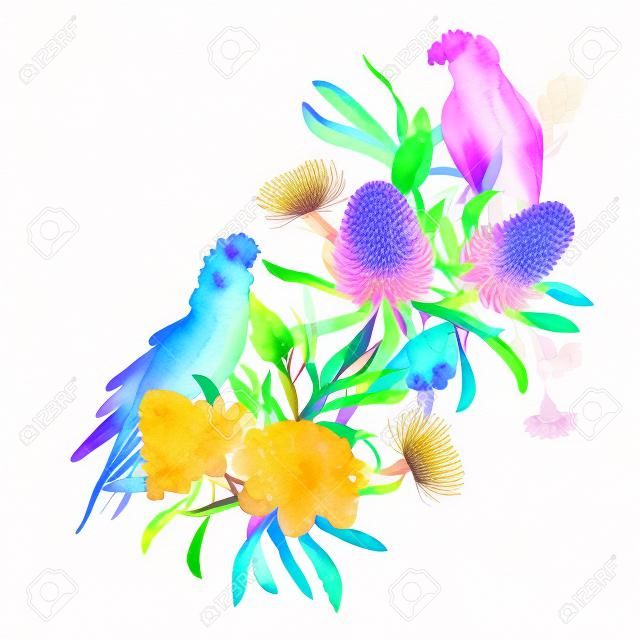 Composição do vetor da flor de banksia da aquarela