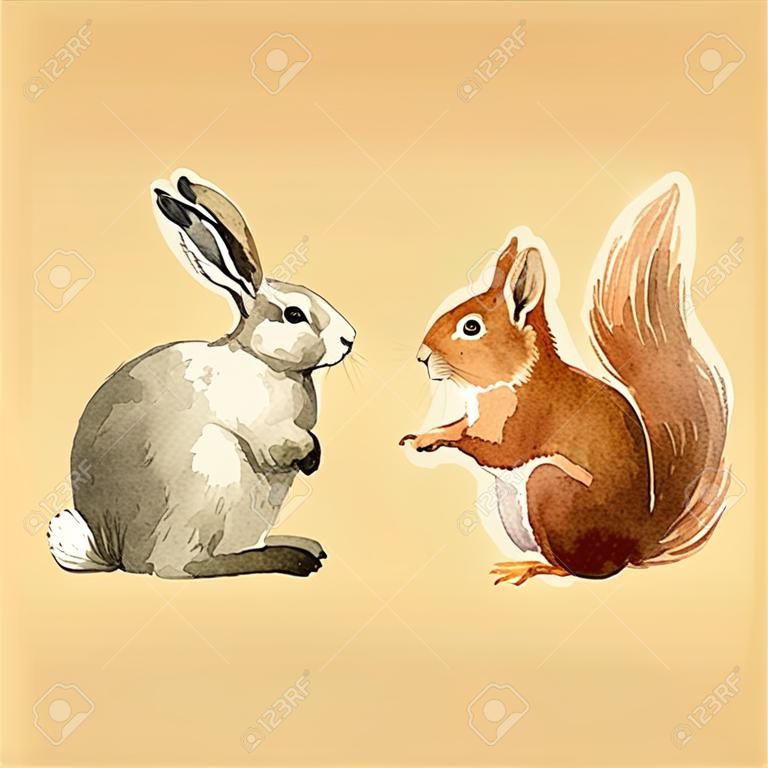 수채화 토끼와 다람쥐 동물 세트 아름 다운 벡터
