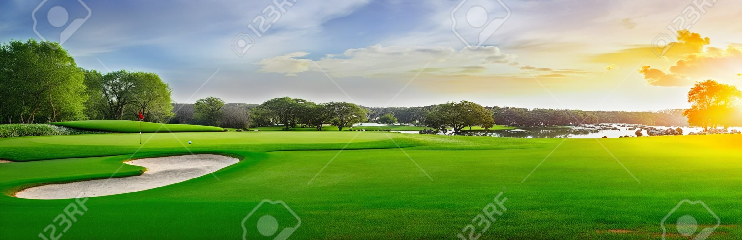 Grünes Gras und Wald auf einem Golfplatz