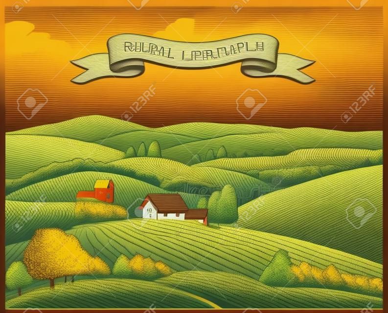 Rural landscape in graphical style, imitating the engraving. Hand drawn and converted to vector Illustration.