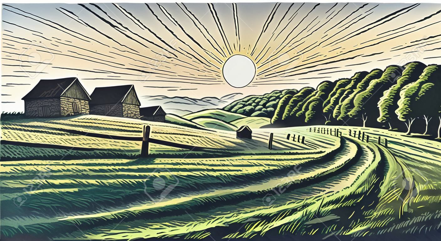 Rural landscape in engraving style, vector illustration.